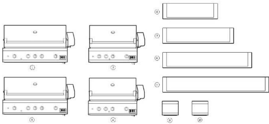 DCS GDSBE1-302L - GUIDE DE PLANIFICATION - 1