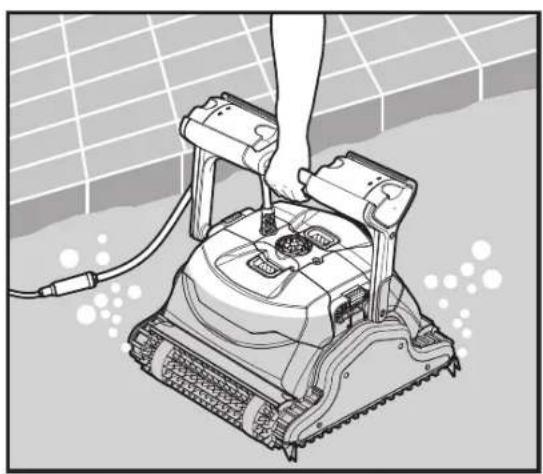MAYTRONICS Dolphin Hydro 40 - Einsetzen des Poolreinigers in den Pool - 1