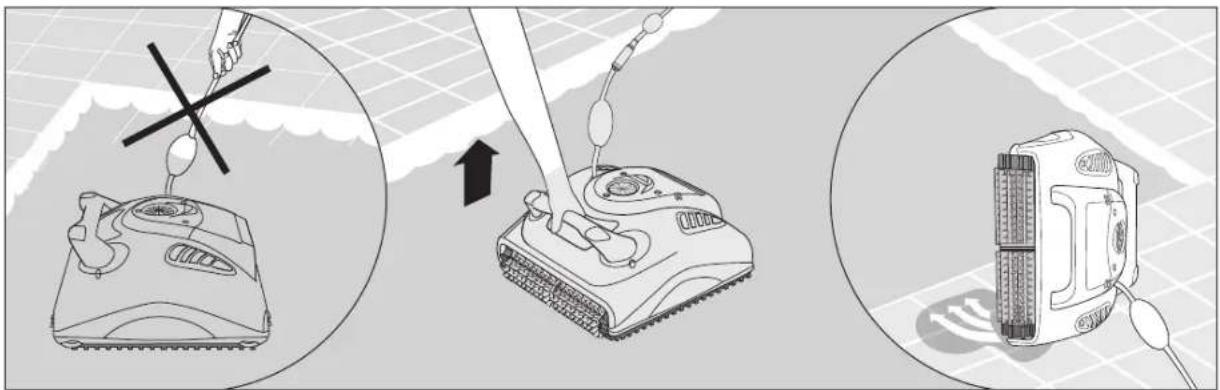 MAYTRONICS Dolphin W20 - Estrazione del pulitore dalla piscina - 4
