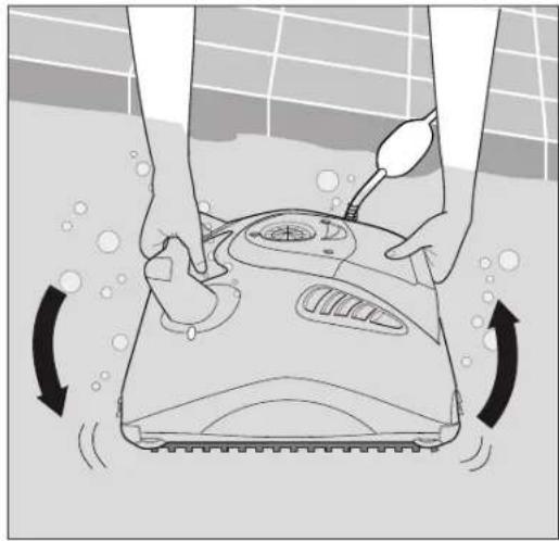 MAYTRONICS Dolphin W20 - Einsetzen des Poolreinigers in den Pool - 1