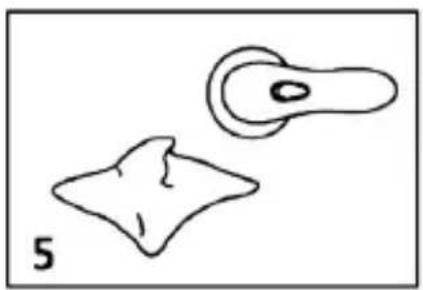 Sogo SS-6610 - 3.VÊTEMENTS FINS - 1