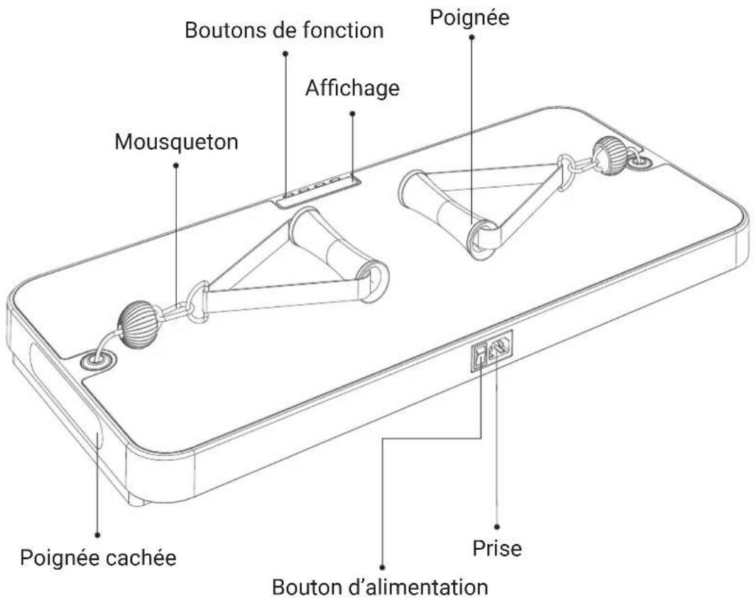 Flow Fitness Perform DSG100i - ILLUSTRATION DES COMPOSANTS - 1