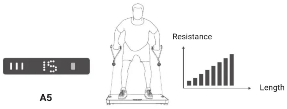 Flow Fitness Perform DSG100i - CHAIN MODE - 1