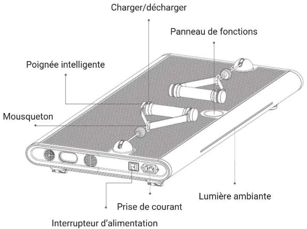 Flow Fitness Perform G1i - ILLUSTRATION DES COMPOSANTS - 1
