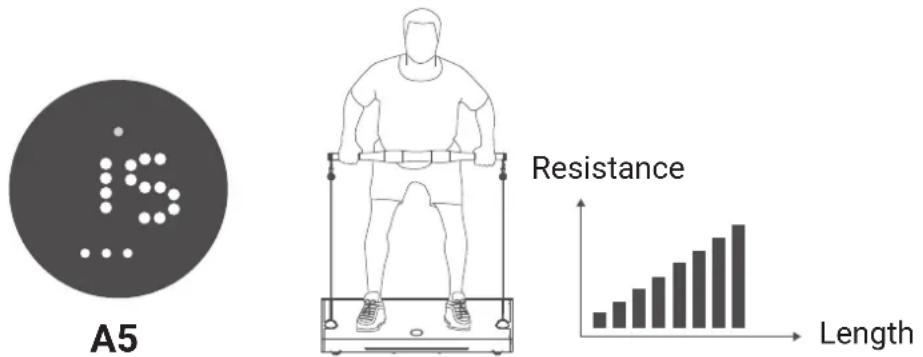 Flow Fitness Perform G1i - CHAIN MODE - 1