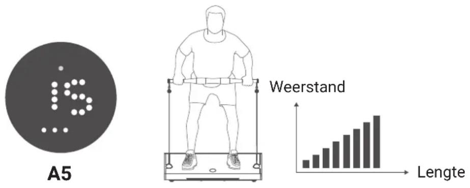Flow Fitness Perform G1i - KETTINGMODUS - 1