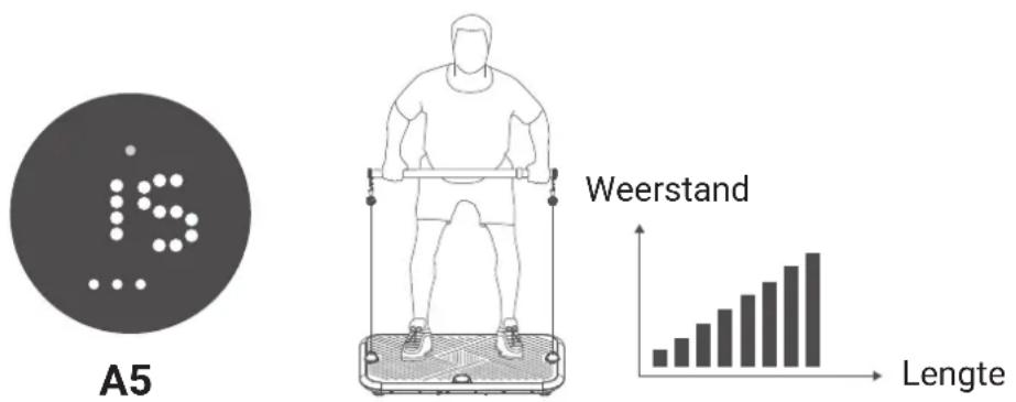 Flow Fitness Perform DSG200i - KETTINGMODUS - 1