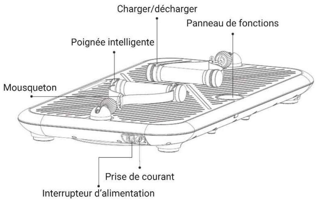 Flow Fitness Perform DSG200i - ILLUSTRATION DES COMPOSANTS - 1