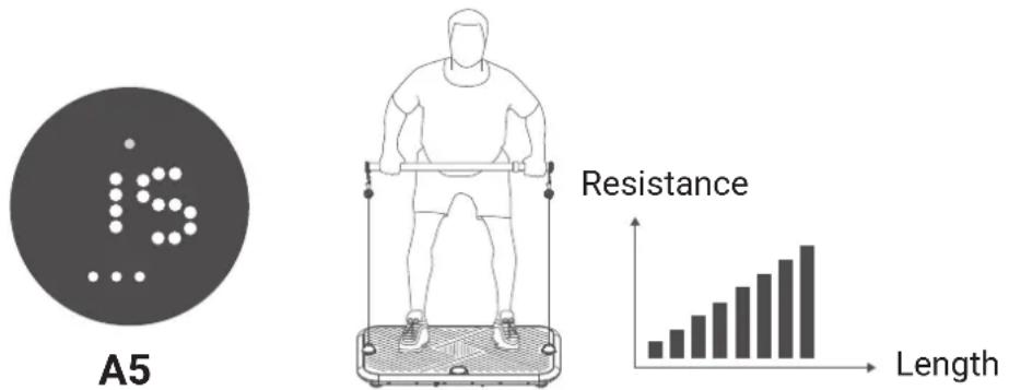 Flow Fitness Perform DSG200i - CHAIN MODE - 1