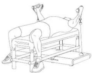 Flow Fitness Perform 92042 - PRODUCT SPECIFICATIONS - 2