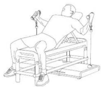 Flow Fitness Perform 92042 - TRAINING GUIDE - 1