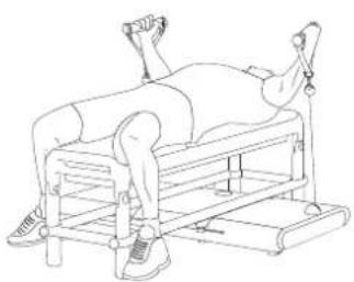 Flow Fitness Perform 92042 - PRODUCTINFORMATIE......4 - 2