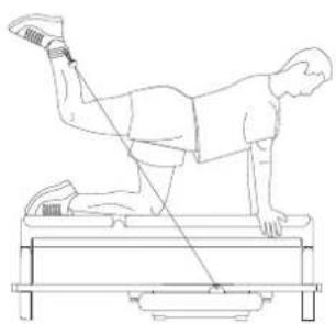 Flow Fitness Perform 92042 - PRODUCTINFORMATIE......4 - 4