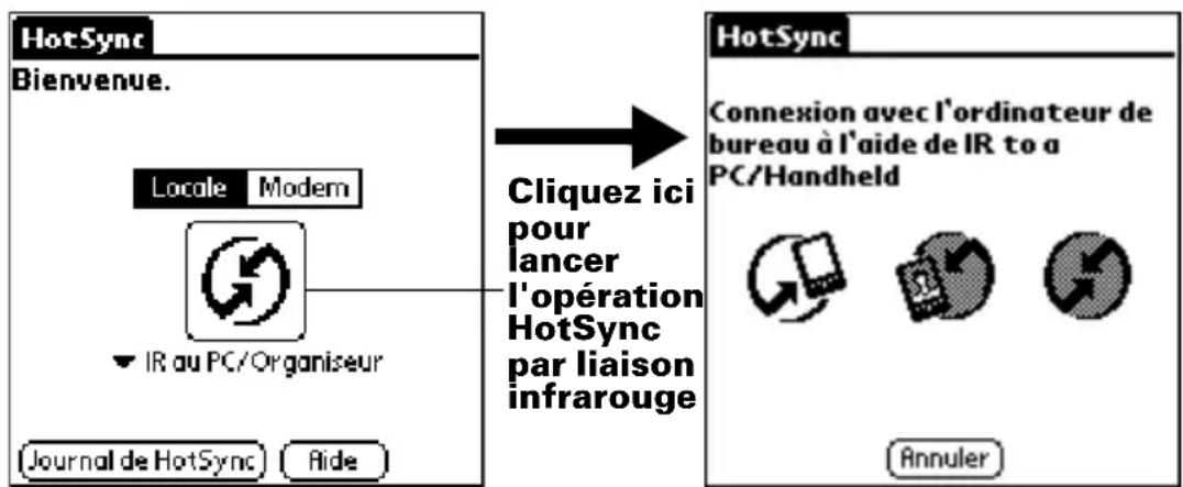 PALM m505 - Pour effectuer une opération HotSync par liaison infrarouge : - 1