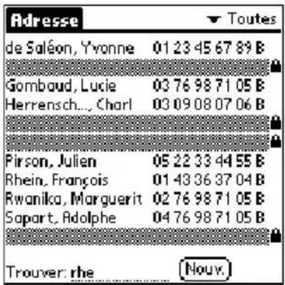 PALM m505 - Masquage partiel (masquer) ou total (cacher) des enregistrements - 1
