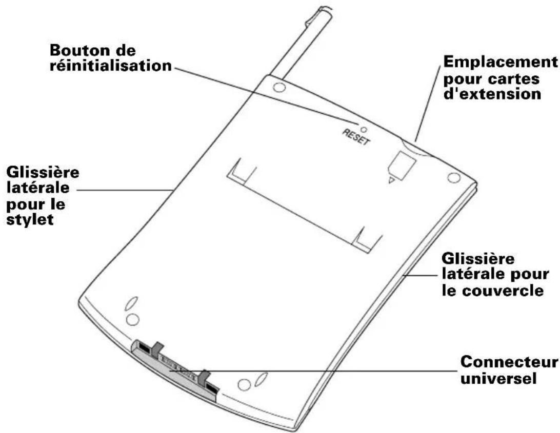 PALM m505 - Emplacement des composants du panneau arrière - 1