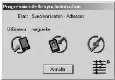PALM m505 - Pour exécuter une HotSync locale sur un ordinateur Windows : - 3
