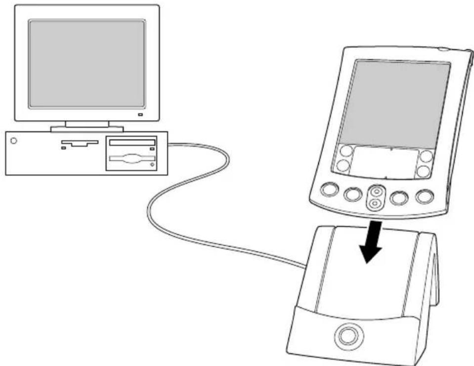 PALM m505 - Pour exécuter une HotSync locale sur un ordinateur Windows : - 1