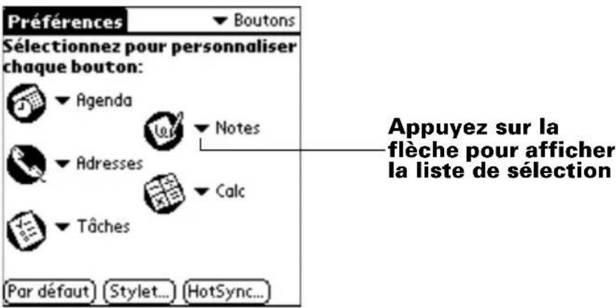 PALM m505 - Pour modifier les préférences des boutons : - 1
