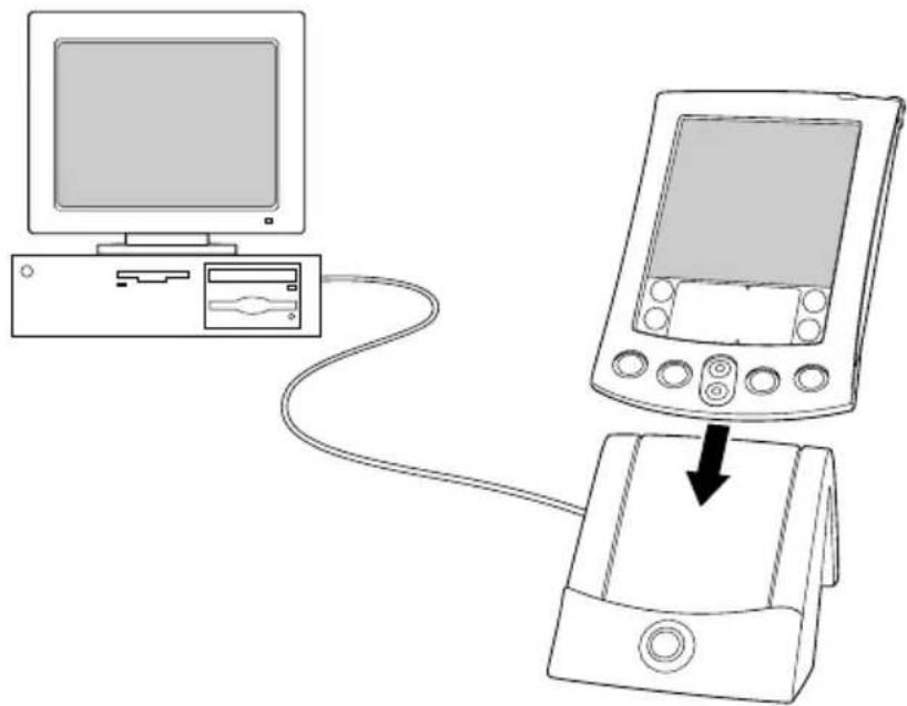 PALM m505 - Pour installer le logiciel Palm Desktop sur un ordinateur Windows : - 1