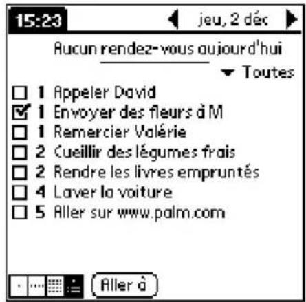 PALM m505 - Pour afficher la vue de l'Agenda : - 3