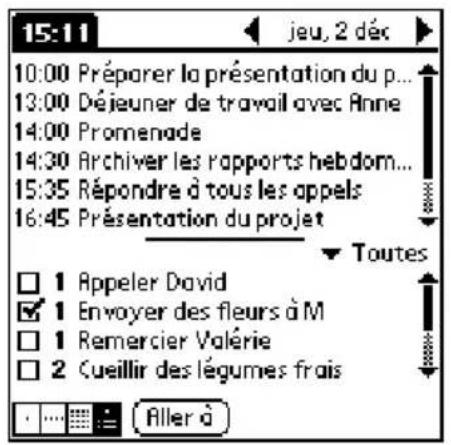 PALM m505 - Pour afficher la vue de l'Agenda : - 2