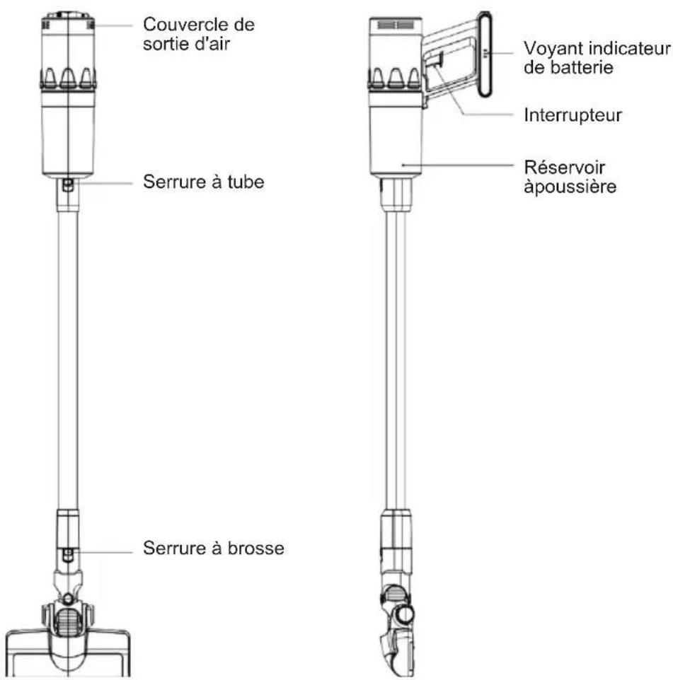 Sogo SS-16165 - Avertissement - 2