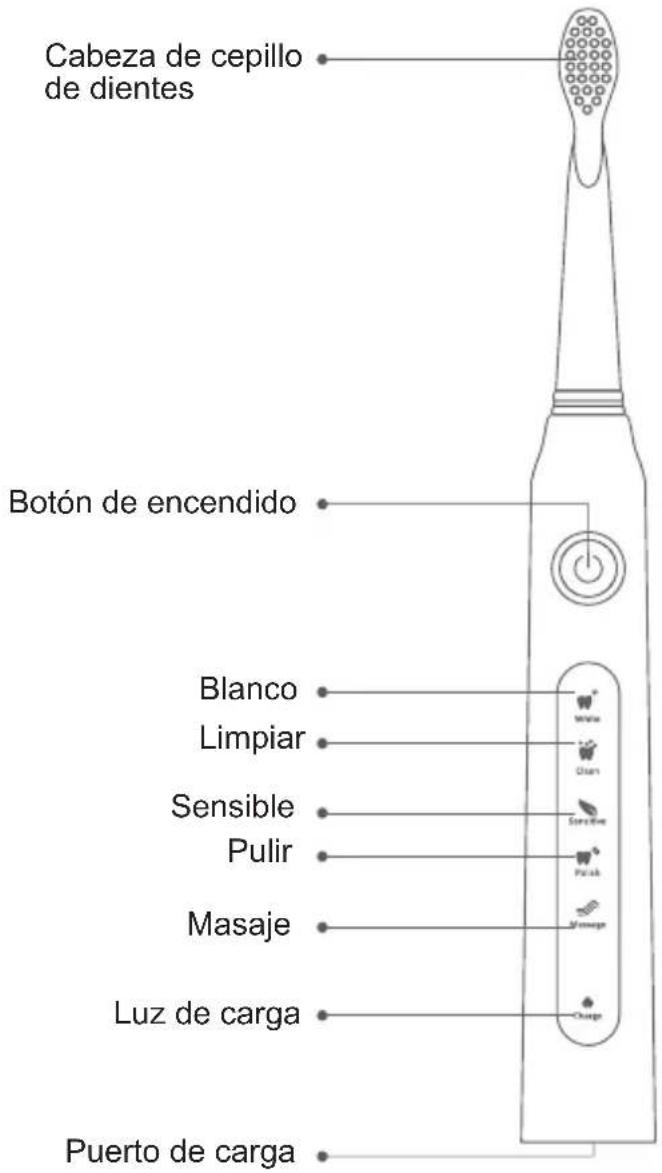 Sogo SS-12345 - Características del cepillo de dientes - 1