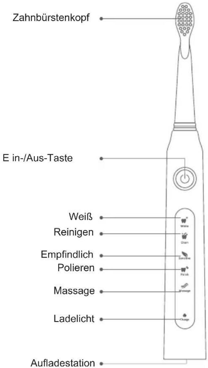 Sogo SS-12345 - Eigenschaften der Zahnbürste - 1