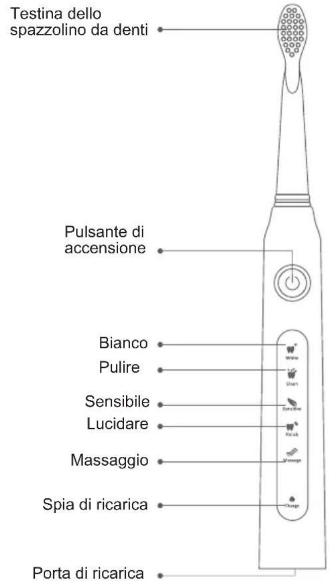 Sogo SS-12345 - Caratteristiche dello spazzolino da denti - 1