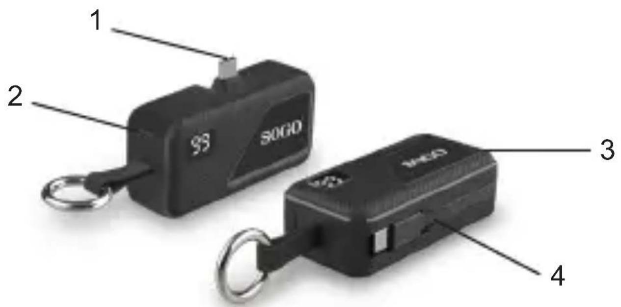 Sogo SS-17765 - Parteixes / Àrees funcionals: - 1