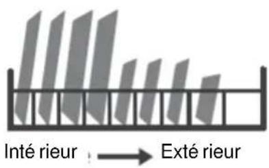 Inté rieur : → Exté rieur
