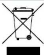 FELLOWES Ion A4 - W.E.E.E. - 1