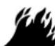 Yard Force YF26-DS21-GSBS - ADVERTENCIA - 1
