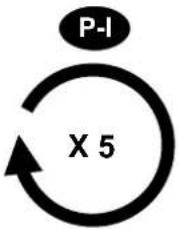 OmniMount TORINO 55 - STEP 2 - 2