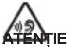 Sogo SS-8190 - Precauții în timpul utilizării acestui dispozitiv - 1