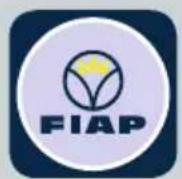 Fiap Air Active 4.000 - BEMAERKNINGER TIL DENNE BRUGSANVISNING - 1