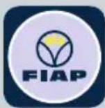 Fiap Air Active 4.000 - SIKKERHEDSINSTRUKTIONER - 1