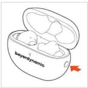 BEYERDYNAMIC Amiron 100 - 删除配对列表 - 1