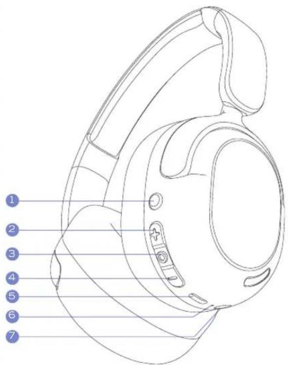 PowerLocus Lion Kids - PowerLocus - 1