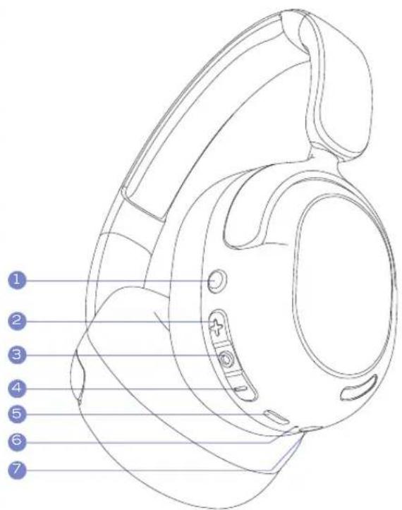 PowerLocus Lion Kids - PowerLocus - 1