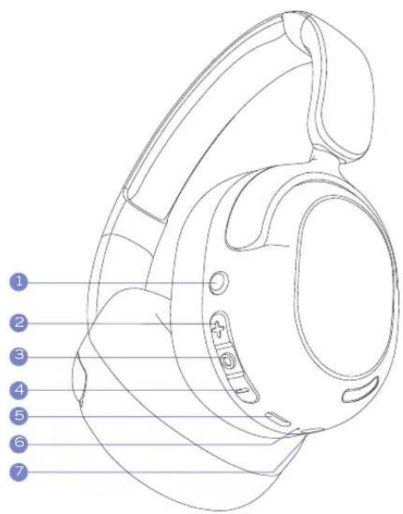 PowerLocus Lion Kids - PowerLocus - 1