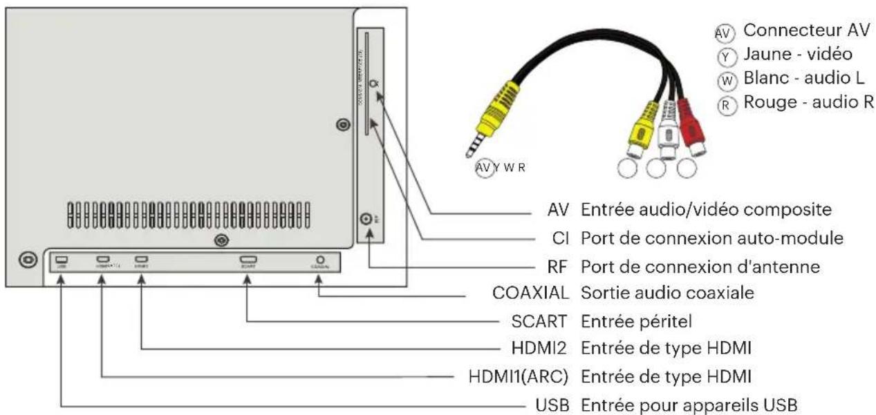 Kivi 32H540LB - Adaptateur d'entrée composant/AV - 1