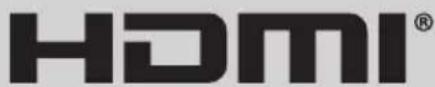 Kivi 43F730QB - Dolby Audio - 1
