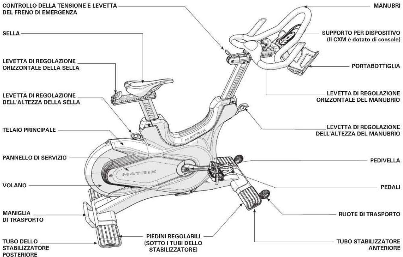 MATRIX CXC - ASSEMBLAGGIO - 1