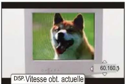 DISP. Vitesse obt. actuelle