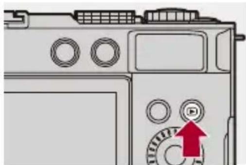 PANASONIC Lumix DC-S9 - Affichez l'écran de lecture. - 1