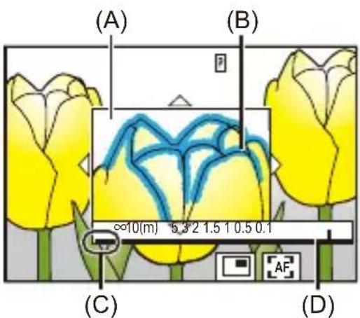 (A) (B) ∞10(m) 5.3/2 1.5 1 0.5 0.1 (C) (D)