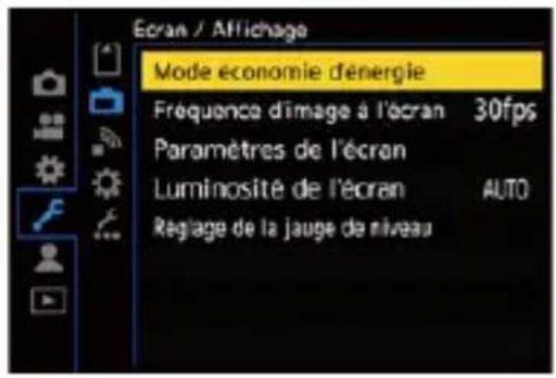Ecran / Affichage Mode économie d'énergie Fréquence d'image à l'écran 30fps Paramètres de l'écran Luminosité de l'écran AUTO Réglage de la jauge de niveau