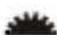 PANASONIC Lumix DC-S9 - Utilisation du [Zoom de recadrage (Photo)] - 2